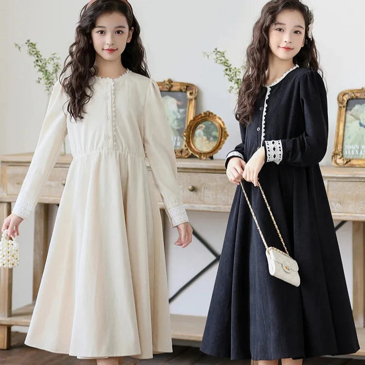 Stylish Long Sleeve Dress