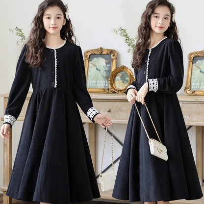 Stylish Long Sleeve Dress